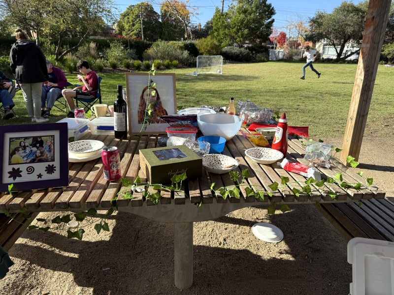 Soraya's 15th birthday picnic